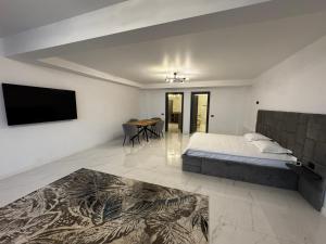 a bedroom with a bed and a flat screen tv at PET apartments in Râmnicu Vâlcea