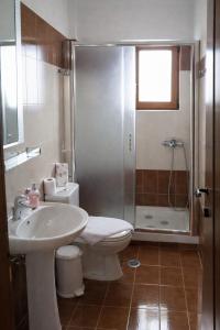 ein Badezimmer mit Waschbecken, Toilette und Dusche in der Unterkunft Orama Hotel - Serene Lake Plastira Retreat with Stunning Views in Kryonérion + 26 Fotos