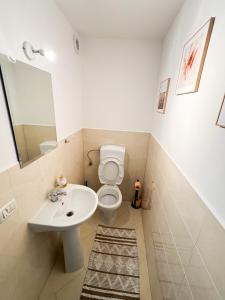 a bathroom with a white toilet and a sink at Casa Paltinoasa in Păltinoasa +38 photos