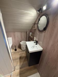 a bathroom with a sink and a mirror at HOME SÉRÉNITÉ in Hazelbourg +22 photos