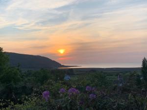 a sunset over the water with flowers in the foreground at Bay View Porlock Bed & Breakfast in Porlock