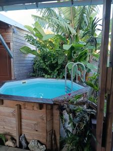 a hot tub in a garden with plants at Ti ' Jean 4 étoiles in Saint-Joseph