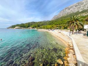 a beach with palm trees and the water at Apartments Gaspar in Podaca