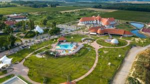 an aerial view of a resort in a vineyard at Hotel Club Tisza in Lakitelek