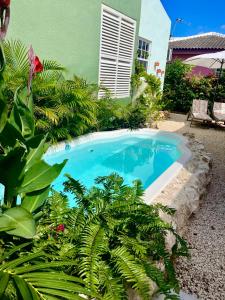a swimming pool in the yard of a house at Tropical Appartment & Studio Curaçao in Dorp Sint Michiel