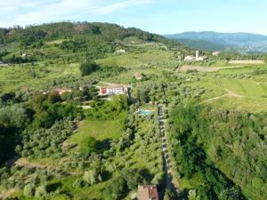 ルッカにあるVilla Sardiniの丘の上の家のあるブドウ畑の空中風景