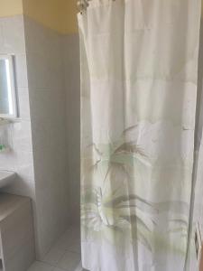 a shower with a white shower curtain in a bathroom at Home Room in San Pietro Avellana