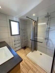 a bathroom with a shower and a sink at Chalet les Lurins in Villarlurin +36 photos