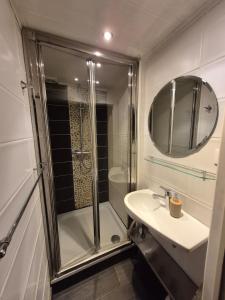 a bathroom with a shower and a sink and a mirror at Le pas de la Fagne in Sprimont +13 photos
