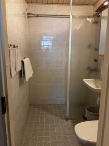 a bathroom with a shower and a toilet and a sink at Hotelli Pihkuri in Viitasaari +15 photos