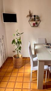 a dining room with a table and a potted plant at A casa di Filo in Boiano
