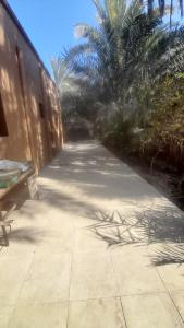 a walkway with palm trees and a bench on a sidewalk at Room Quriyat in Ramlah +4 photos