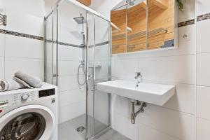 a bathroom with a washing machine and a sink at Alpen Chalets Ausseerland - Sauna & BBQ in Bad Mitterndorf