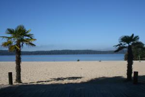 dos palmeras en una playa de arena cerca del agua en Rêve en Famille, en Gastes