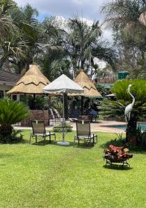 a yard with chairs and umbrellas and a pelican at Sunshine Guest House in Harare