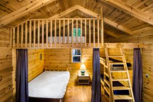 a cabin with a bunk bed and a ladder at HTR Door County in Egg Harbor +37 photos
