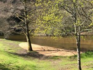 two trees are standing next to a river at ZEcamping 3 étoiles pet friendly en bord de rivière avec une plage de sable in Jumilhac-le-Grand