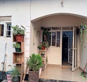 a house with potted plants on the side of it at Homey Stay in Kampala