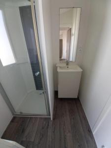 a bathroom with a shower and a sink and a mirror at ZEcamping 3 étoiles piscine chauffée club enfant dog friendly in Ploemeur