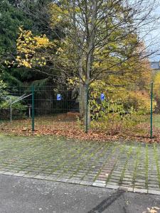 a tree in front of a fence with leaves on the ground at Arminos Large Group Apartment- 3 Zimmer & 2 WCs in Chemnitz