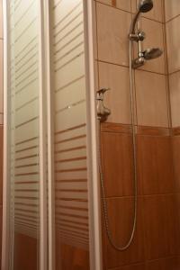 a shower with a shower head in a bathroom at KÓŃSKO SIGŁA in Wisła