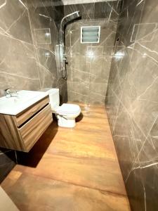 a bathroom with a toilet and a sink and a shower at APART LyM 2 in Clorinda +6 photos