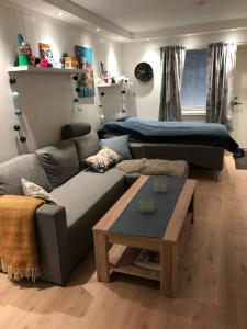 a living room with a couch and a bed at Koselig og praktisk studioleilighet in Svolvær