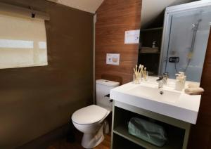 a bathroom with a white sink and a toilet at ZEcamping 3 dog friendly salle fitness piscine in Vensac +21 photos