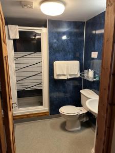 a bathroom with a toilet and a sink at The Dog and Partridge in Langsett +112 photos