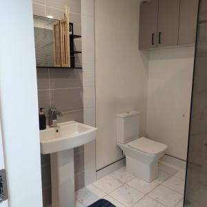 a bathroom with a toilet and a sink at Sea View Apartment in Cobh +9 photos