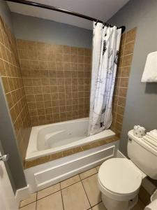 a bathroom with a tub and a toilet and a shower curtain at Bavarian Brook Unit 9 in Helen