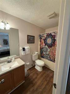 a bathroom with a toilet and a sink and a mirror at Rivers Edge 803A in Helen