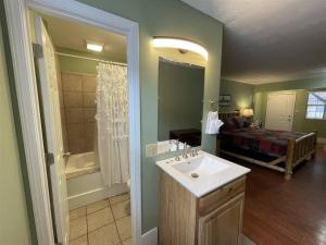 a bathroom with a sink and a bedroom with a bed at Bavarian Brook Unit 7 in Helen
