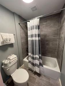 a bathroom with a toilet and a bath tub at Bavarian Brook Unit 4a in Helen