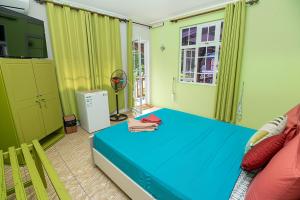 a bedroom with a blue bed and green walls at Le Benitier in Port Mathurin +17 photos