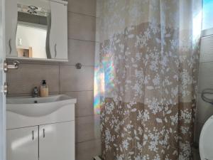 a bathroom with a sink and a shower curtain at Smeštaj kod Lazarice Šid in Šid +17 photos