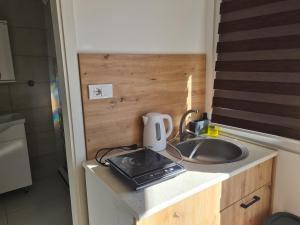 a kitchen counter with a sink in a tiny house at Smeštaj kod Lazarice Šid in Šid