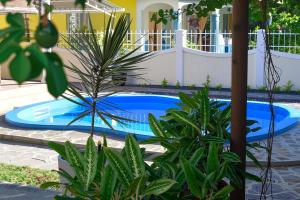 a swimming pool in a yard with plants at Le Benitier in Port Mathurin