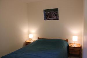 a bedroom with a bed and two lamps on tables at Les faons in Roubion