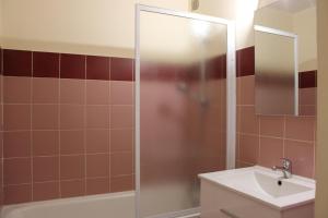 a bathroom with a shower and a sink at Les faons in Roubion