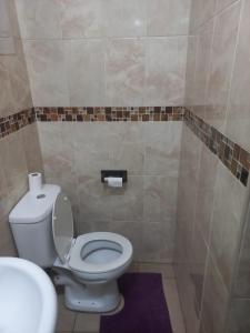 a bathroom with a white toilet and a sink at THE ROSE BnB in Soweto