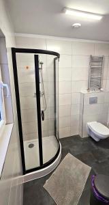 a bathroom with a shower and a toilet at Pod Kasztanem in Świnoujście +38 photos