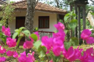 Zahrada ubytování Calm Garden Cabanas