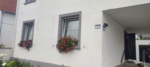 a white building with two windows with flowers on it at Schöne Wohnung in Worms Private Gastgeber in Worms