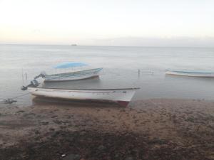 dois barcos sentados na costa de uma massa de água em Le Pandanus em Rodrigues Island