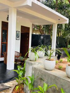 a group of white pots sitting on a porch with plants at Lagoon View Mawella Villa in Tangalle