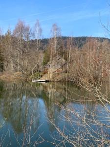 a lake with a house in the middle of it at domaine des planesses in Ferdrupt