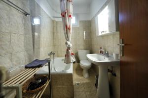 a bathroom with a sink and a toilet and a shower at The Bliss Z1 in Kastoria