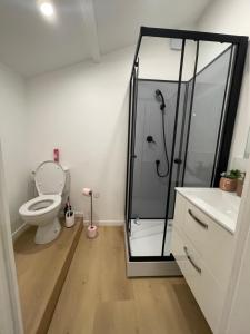 a bathroom with a shower and a toilet and a sink at Un cocoon spacieux in Les Essarts-le-Roi