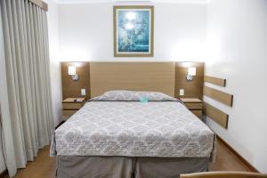 a bedroom with a bed and a picture on the wall at Hotel Premium Pirassununga in Pirassununga +24 photos
